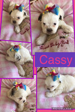 SOLD- Click On Picture For More Info- Deposit for Cassy