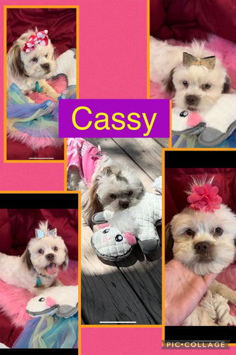 Click On Picture For More Info- Deposit for Cassy