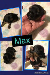 SOLD- Click On Picture For More Info- Deposit for Max