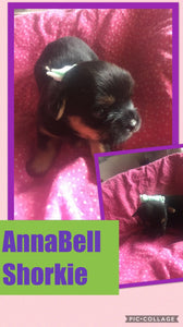 SOLD- Click On Picture For More Info- Deposit for AnnaBell