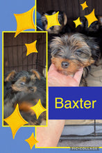 SOLD- Click On Picture For More Info- Deposit for Baxter