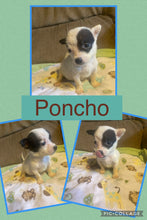 SOLD- Click On Picture For More Info- Deposit for Poncho