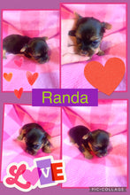 SOLD- Click On Picture For More Info- Deposit for Randa