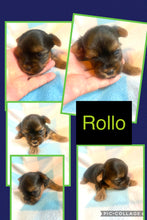 SOLD- Click On Picture For More Info- Deposit for Rollo