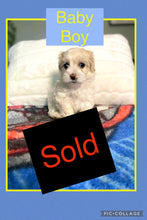 SOLD- Click On Picture For More Info- Deposit for Baby