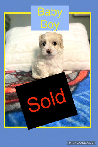 SOLD- Click On Picture For More Info- Deposit for Baby
