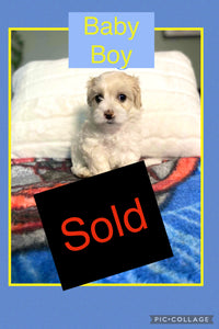 SOLD- Click On Picture For More Info- Deposit for Baby