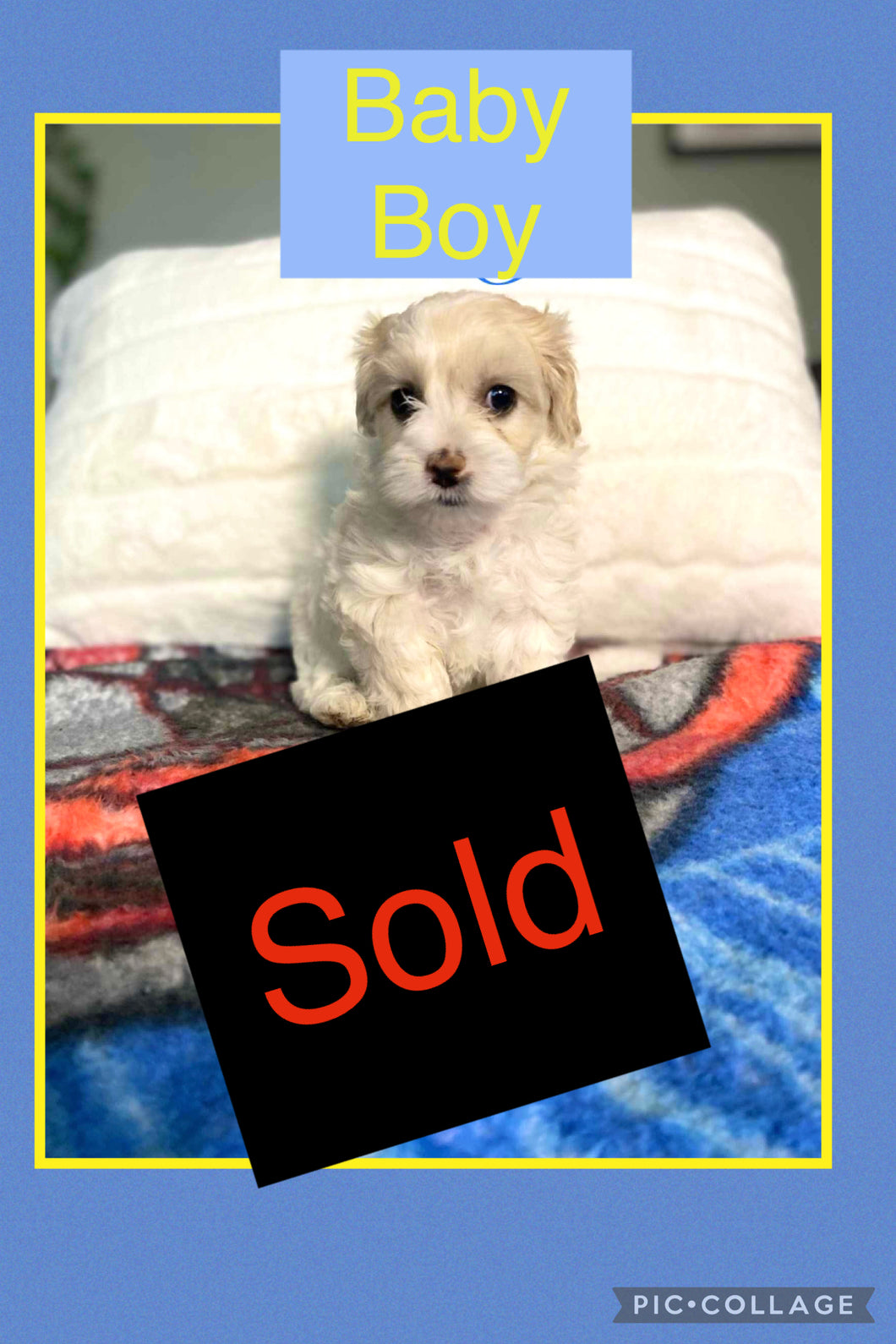 SOLD- Click On Picture For More Info- Deposit for Baby