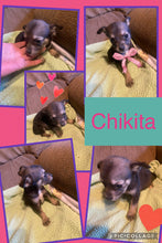 SOLD- Click On Picture For More Info- Deposit for Chikita