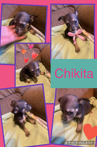 Click On Picture For More Info- Deposit for Chikita