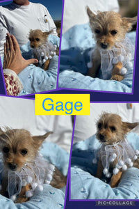 SOLD- Click On Picture For More Info- Deposit for Gage