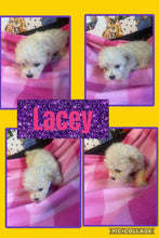 SOLD- Click On Picture For More Info- Deposit for Lacey