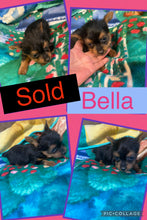 SOLD- Click On Picture For More Info- Deposit for Bella