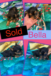 SOLD- Click On Picture For More Info- Deposit for Bella