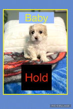 SOLD- Click On Picture For More Info- Deposit for Baby