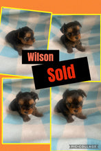 SOLD- Click On Picture For More Info- Deposit for Wilson