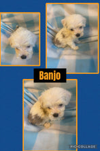 SOLD- Click On Picture For More Info- Deposit for Banjo