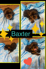 SOLD- Click On Picture For More Info- Deposit for Baxter