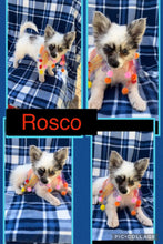 SOLD- BIG SALE- Click On Picture For More Info- Deposit for Rosco