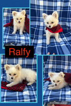 Sold- BIG SALE- Click On Picture For More Info- Deposit for Ralfy