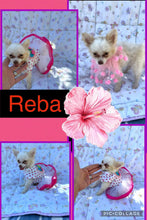 SOLD- Click On Picture For More Info- Deposit for Reba