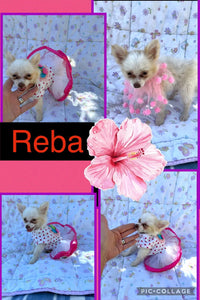 SOLD- Click On Picture For More Info- Deposit for Reba