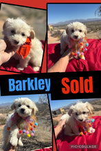 SOLD- Click On Picture For More Info- Deposit for Barkley