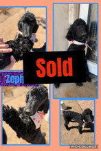 SOLD- Click On Picture For More Info- Deposit for Zephyr