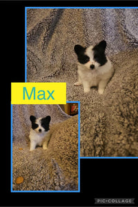 SOLD- Click On Picture For More Info- Deposit for Max