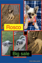 SOLD- BIG SALE- Click On Picture For More Info- Deposit for Rosco