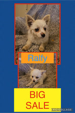 Sold- BIG SALE- Click On Picture For More Info- Deposit for Ralfy