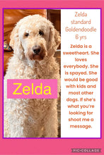 SOLD- Click On Picture For More Info- Zelda