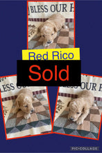 SOLD- Click On Picture For More Info- Deposit for RedRico