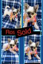 SOLD- BIG SALE- Click On Picture For More Info- Deposit for Rosco