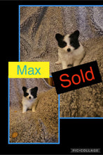 SOLD- Click On Picture For More Info- Deposit for Max