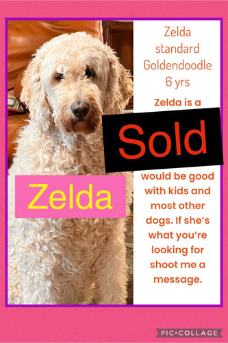 SOLD- Click On Picture For More Info- Zelda