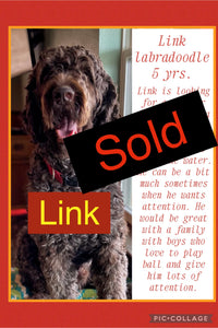 SOLD- Click On Picture For More Info- Link