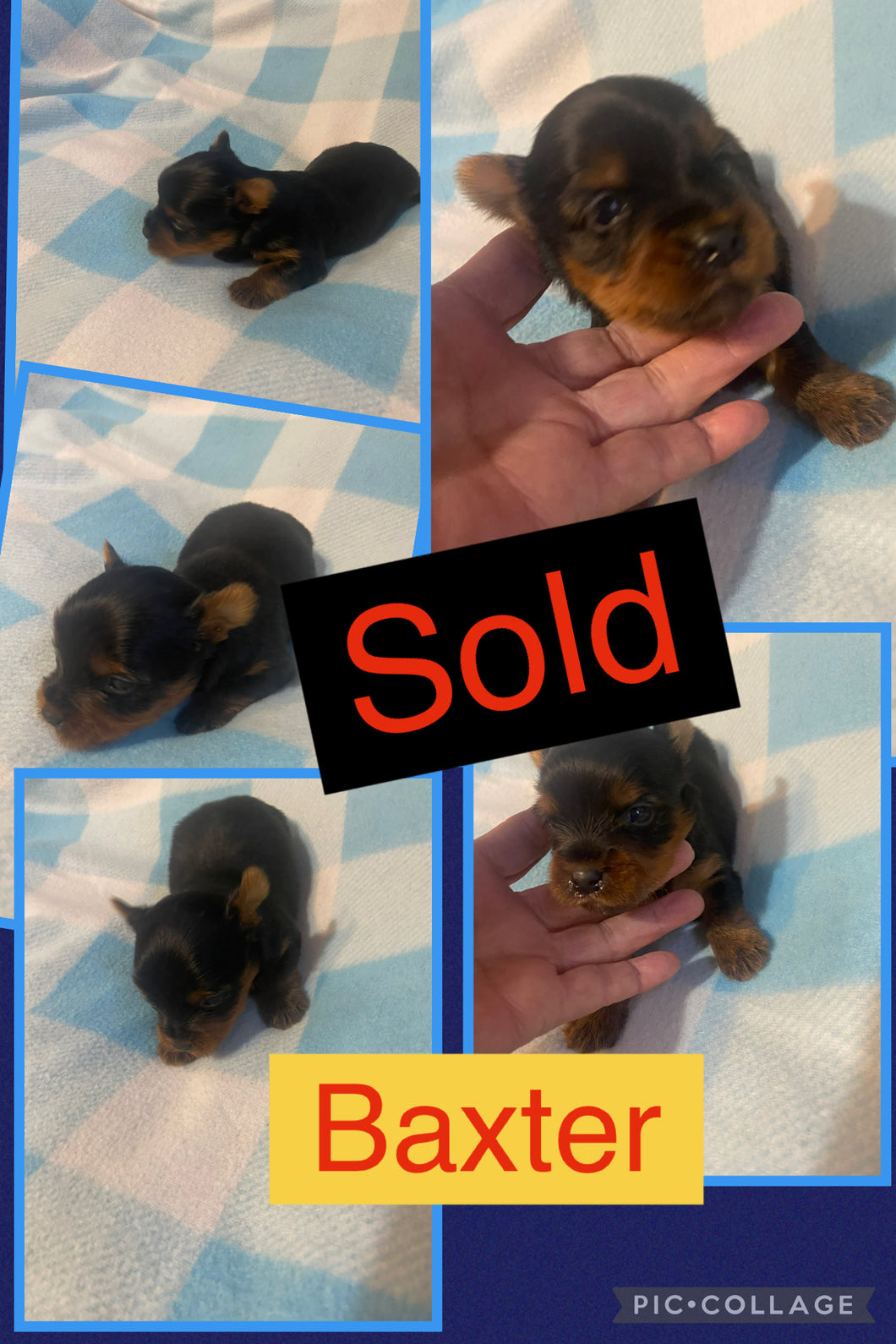 SOLD- Click On Picture For More Info- Deposit for Baxter