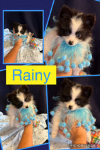 SOLD- Click On Picture For More Info- Deposit for Rainy