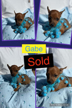 SOLD- Click On Picture For More Info- Deposit for Gabe