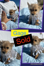 SOLD- Click On Picture For More Info- Deposit for Gage