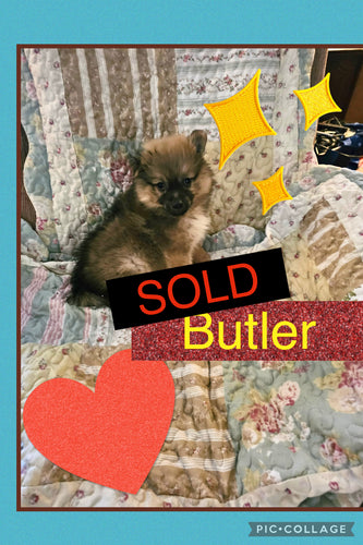 SOLD- Click On Picture For More Info- Deposit for Butler