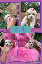 SOLD- Click On Picture For More Info- Deposit for Belle