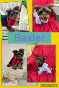 SOLD- Click On Picture For More Info- Deposit for Baxter