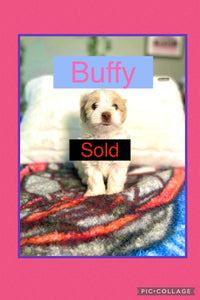 SOLD- Click On Picture For More Info- Deposit for Buffy