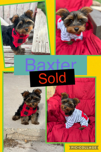 SOLD- Click On Picture For More Info- Deposit for Baxter