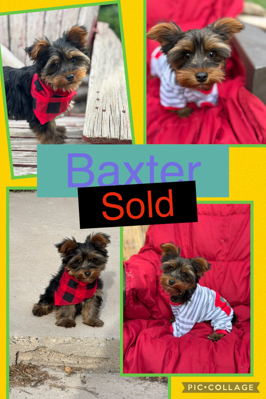SOLD- Click On Picture For More Info- Deposit for Baxter