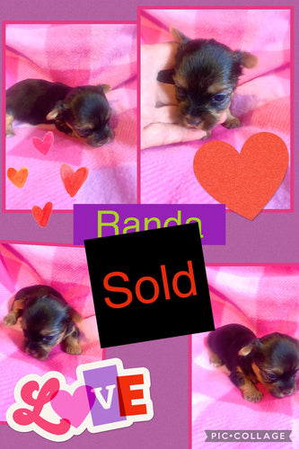 SOLD- Click On Picture For More Info- Deposit for Randa