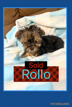 SOLD- Click On Picture For More Info- Deposit for Rollo