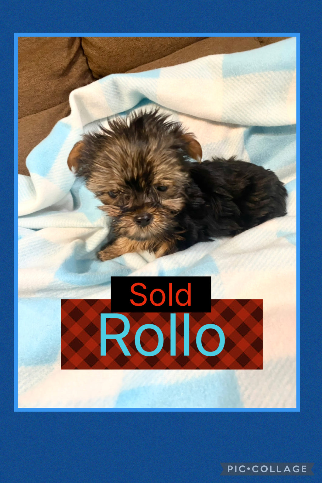 SOLD- Click On Picture For More Info- Deposit for Rollo